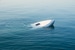 Boat Accident Lawyer