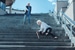 Premises Injury Lawyer