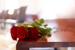 Wrongful Death Lawyer